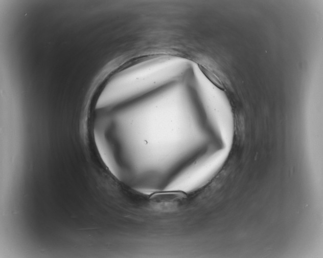 X0000103250340200809181609