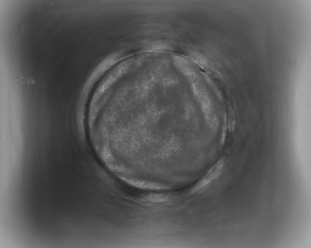 X0000103250341200809181609
