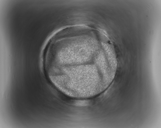 X0000103250342200809181609