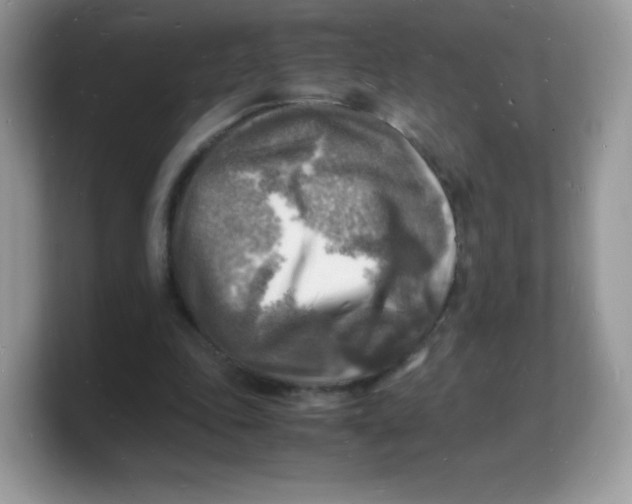 X0000103250343200809181609