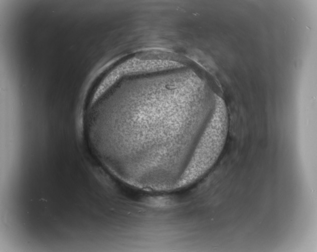 X0000103250344200809181609