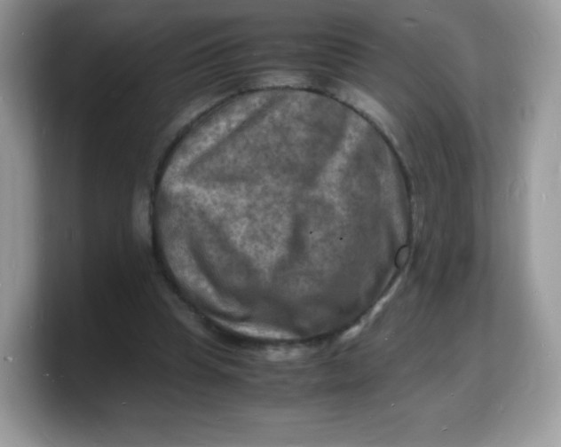 X0000103250345200809181609