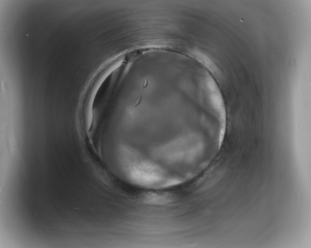 X0000103250346200809181609