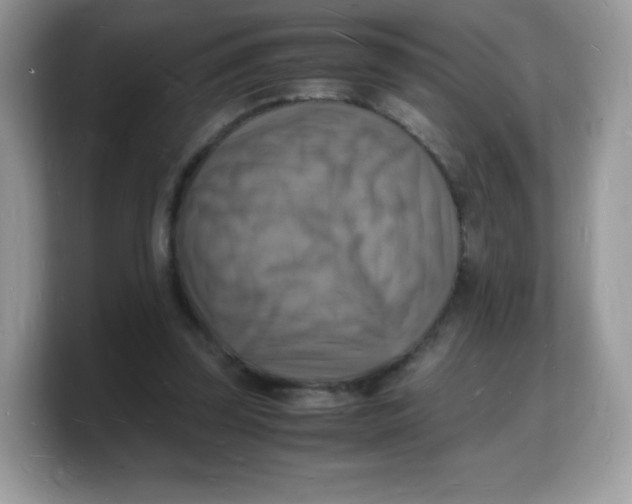 X0000103250347200809181609