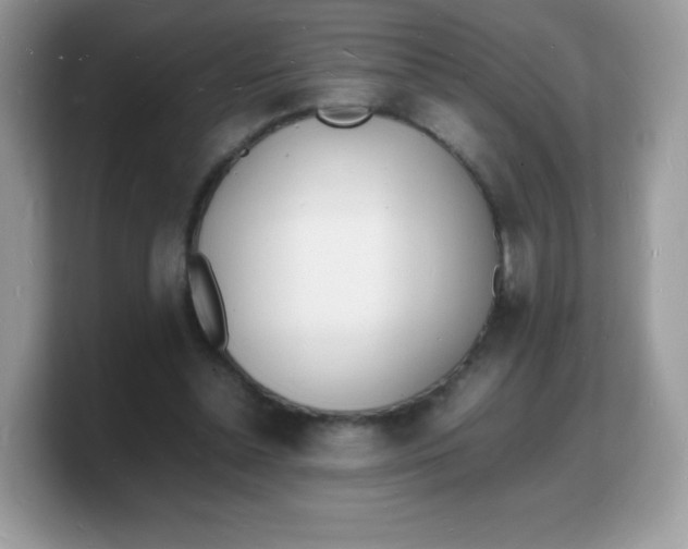 X0000103250348200809181609
