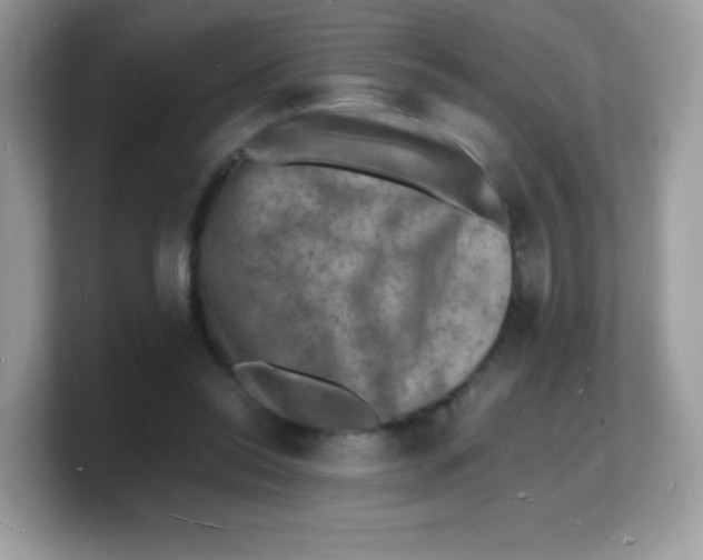 X0000103250350200809181609