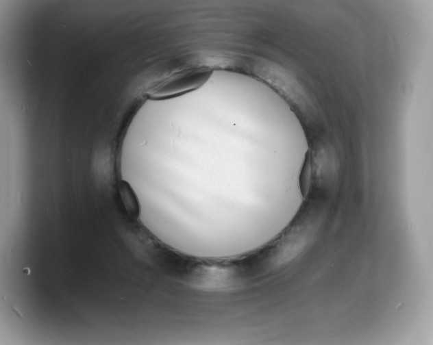 X0000103250352200809181609