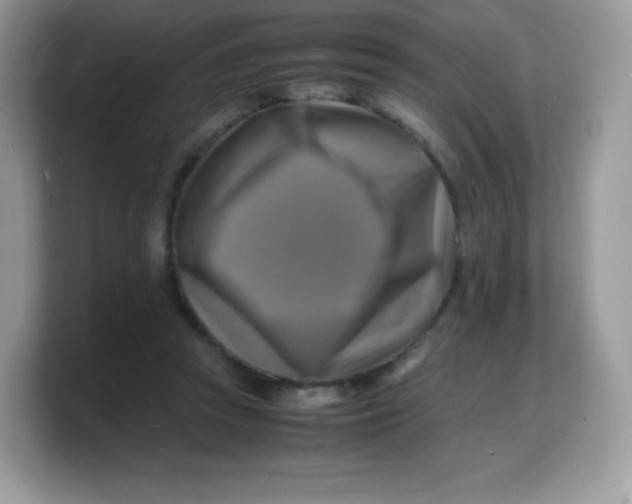 X0000103250353200809181609