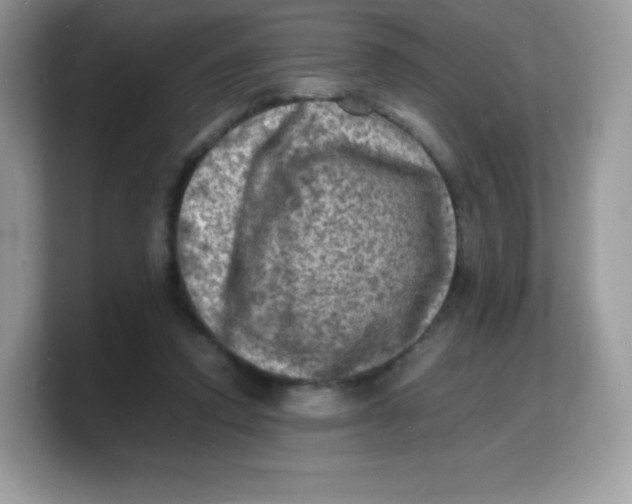 X0000103250354200809181609