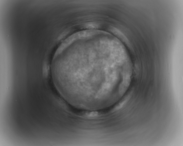 X0000103250355200809181609