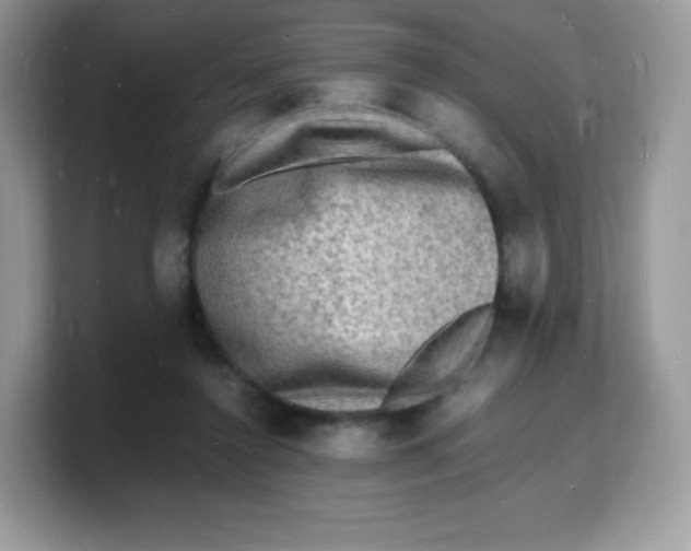 X0000103250356200809181609