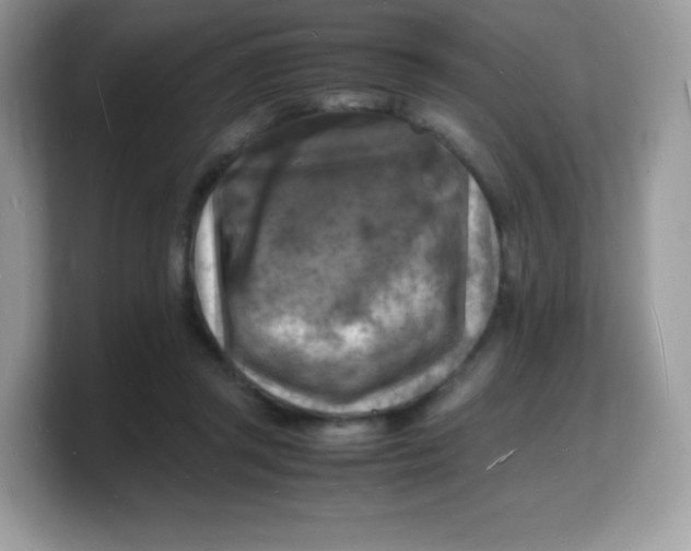 X0000103250357200809181609