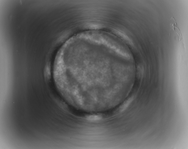 X0000103250358200809181609