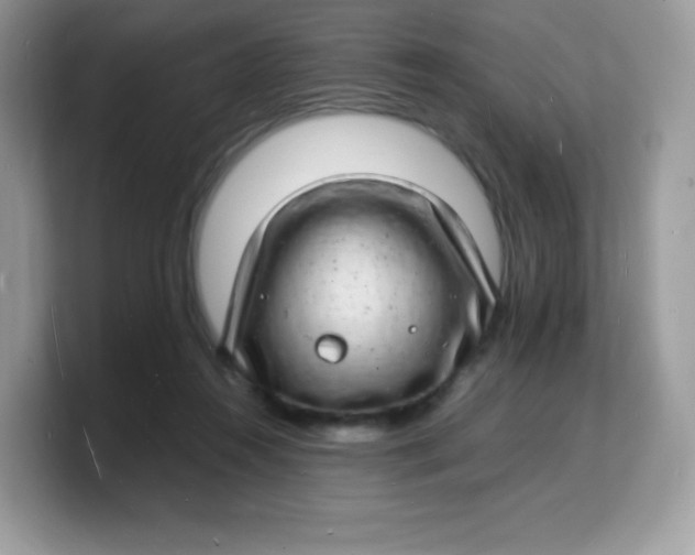 X0000103250360200809181609