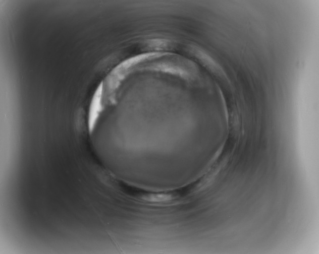 X0000103250361200809181609