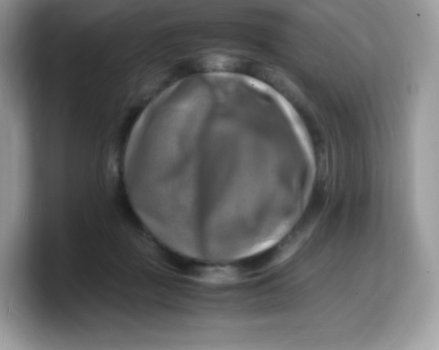 X0000103250363200809181609