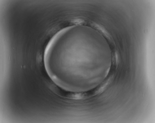 X0000103250365200809181609