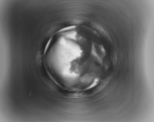 X0000103250366200809181609
