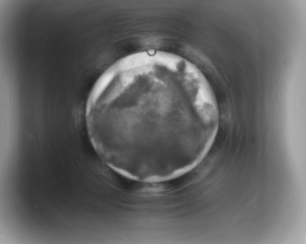 X0000103250369200809181609