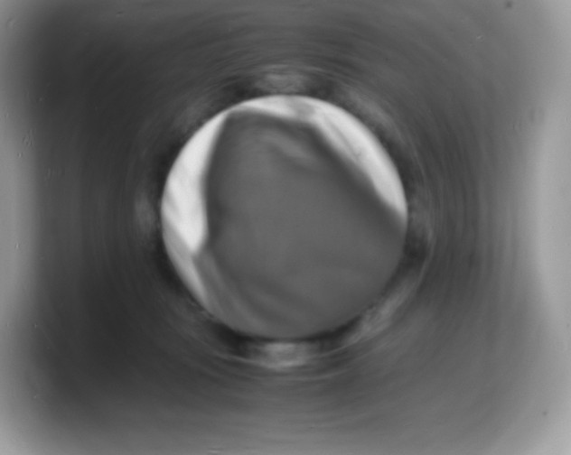 X0000103250371200809181609