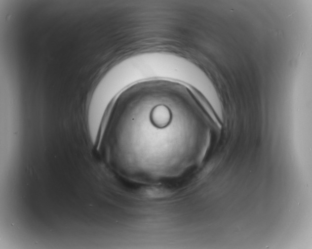 X0000103250372200809181609