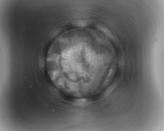 X0000103250374200809181610