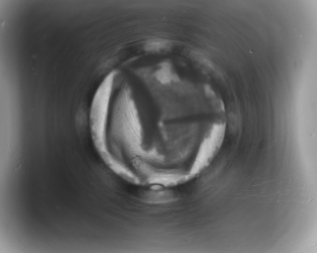 X0000103250375200809181610