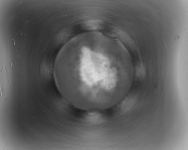 X0000103250376200809181610