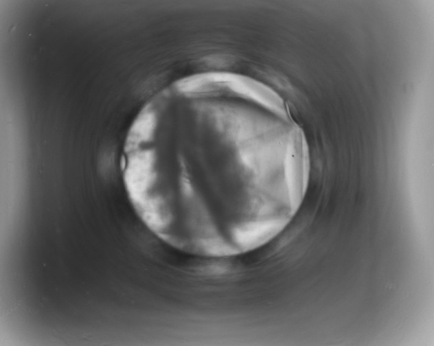 X0000103250377200809181610