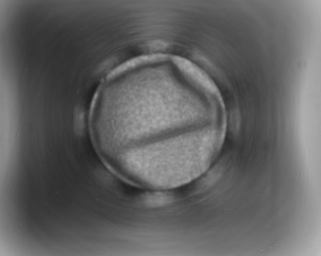 X0000103250378200809181610
