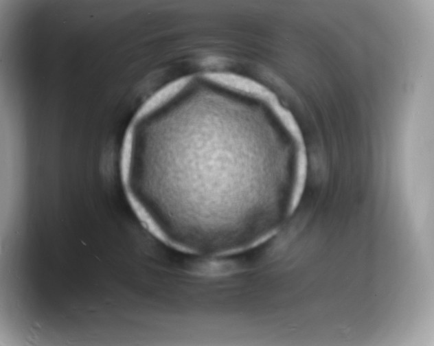 X0000103250379200809181610