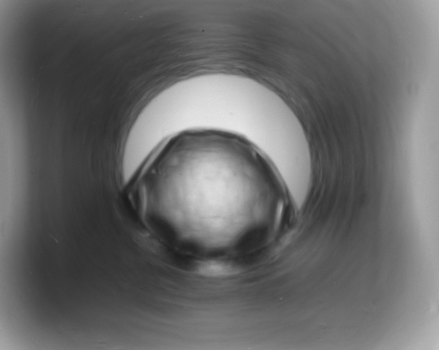 X0000103250380200809181610