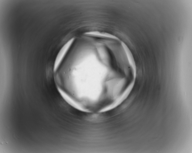 X0000103250382200809181610