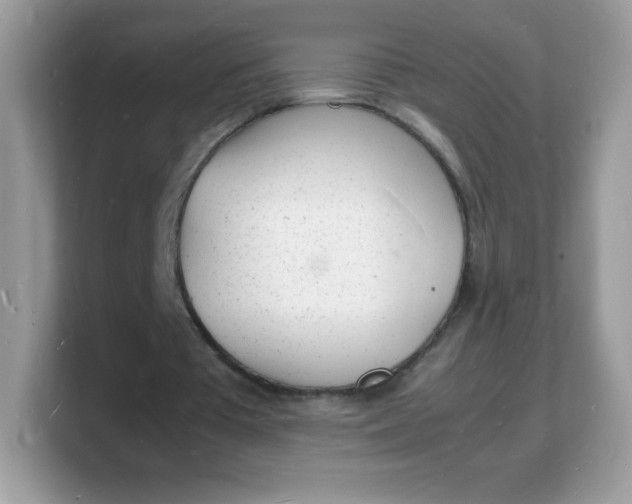 X0000103250385200809181609