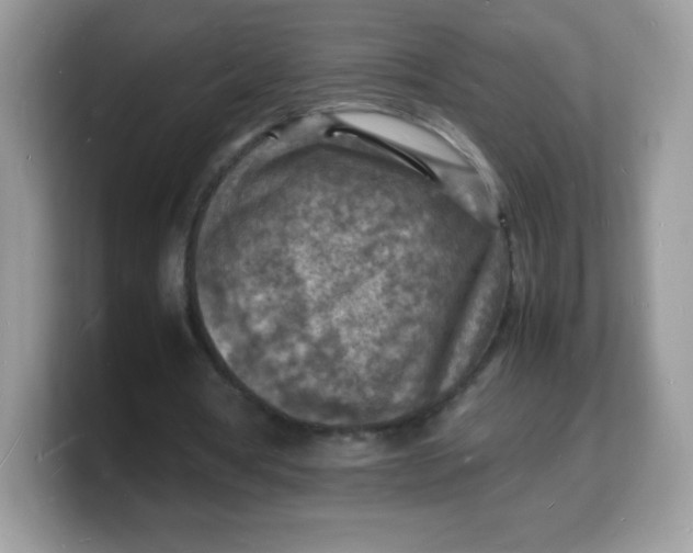 X0000103250386200809181609