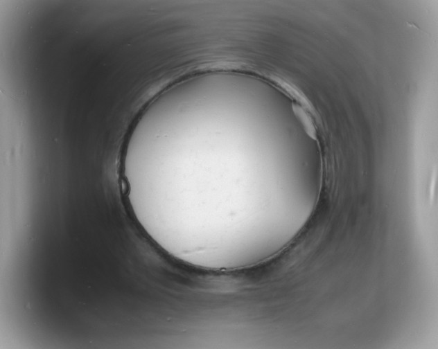 X0000103250389200809181609