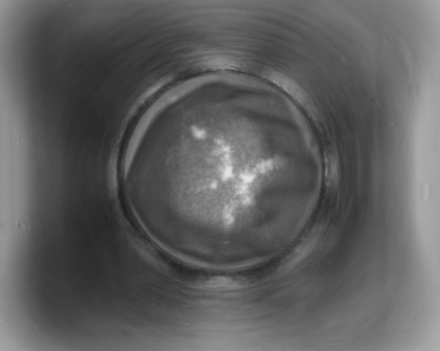 X0000103250390200809181609