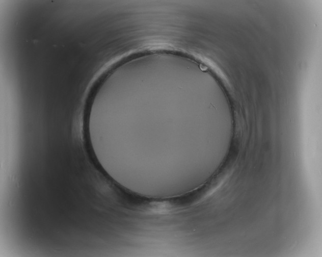 X0000103250391200809181609