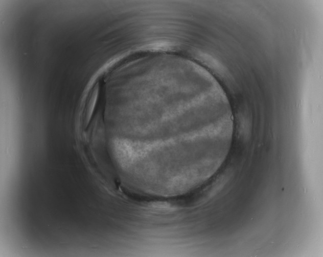 X0000103250392200809181609