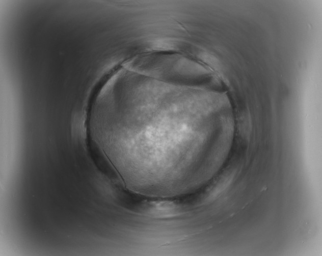 X0000103250395200809181609