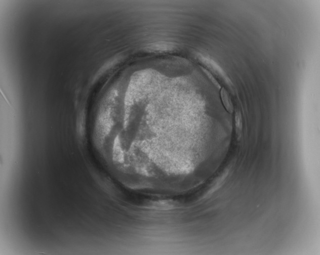 X0000103250396200809181609