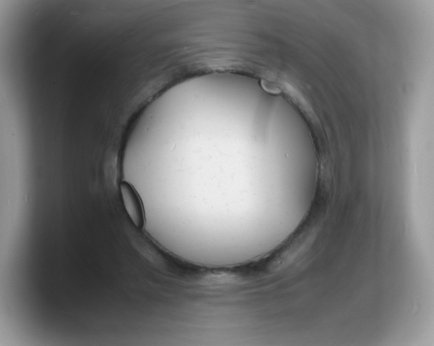 X0000103250397200809181609