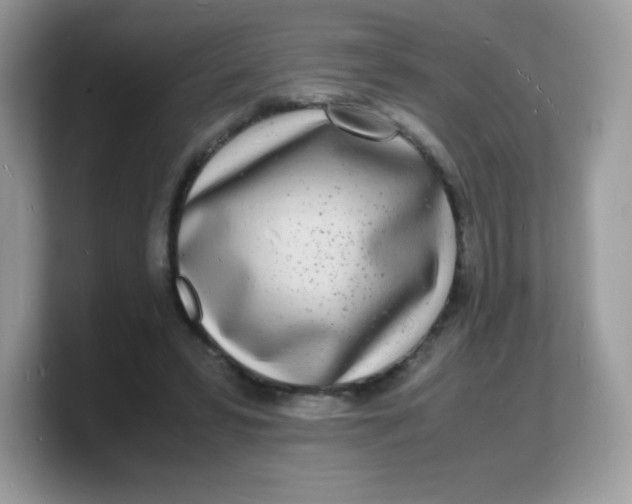 X0000103250399200809181609