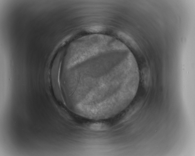 X0000103250400200809181609