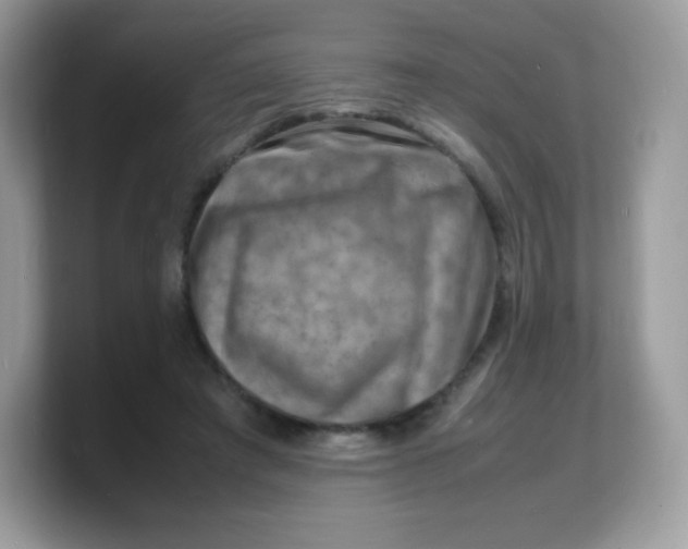 X0000103250401200809181609