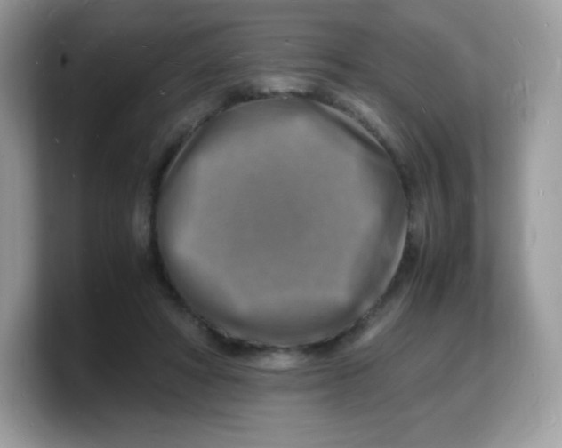 X0000103250402200809181609
