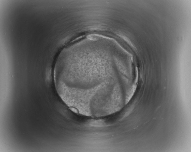 X0000103250403200809181609