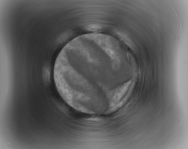 X0000103250404200809181609
