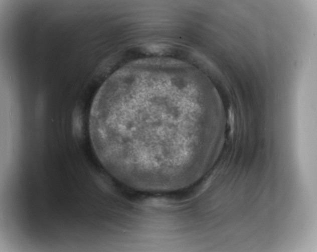 X0000103250408200809181609