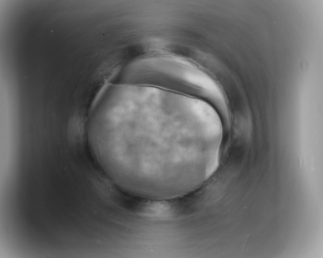 X0000103250409200809181609